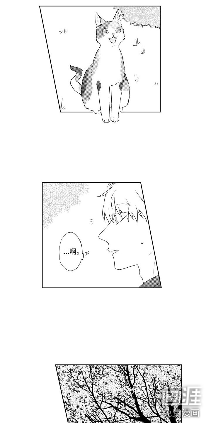 猫的密语第18话图