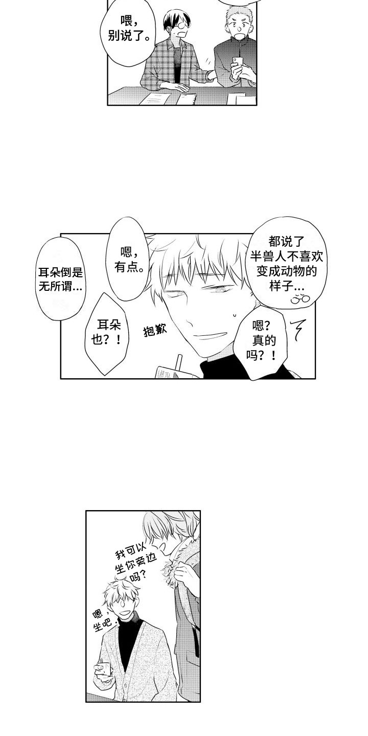 猫的密语第2话图