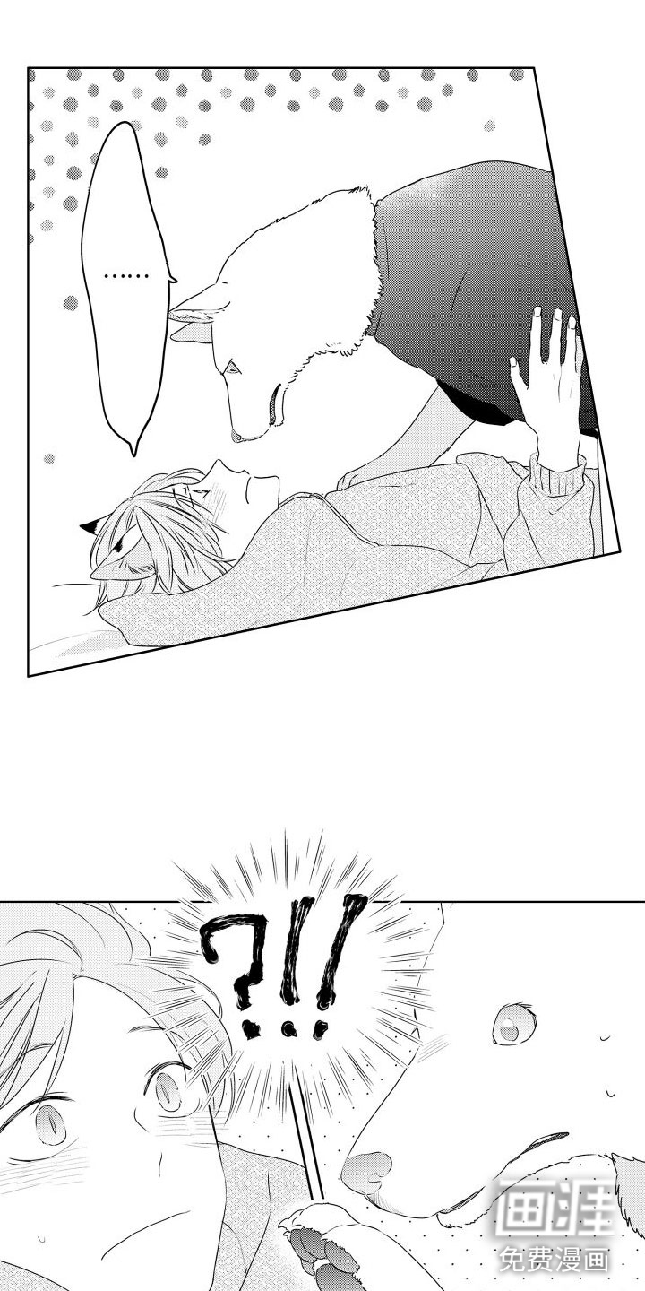 猫的密语第21话图