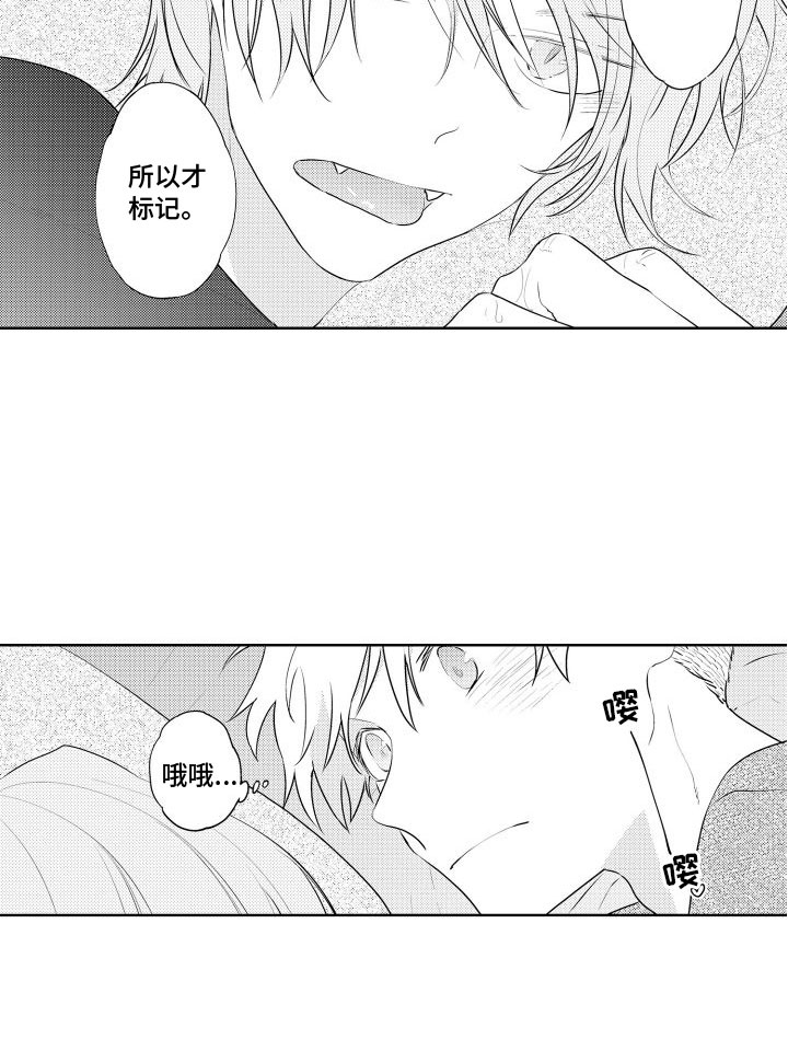 猫的密语第26话图