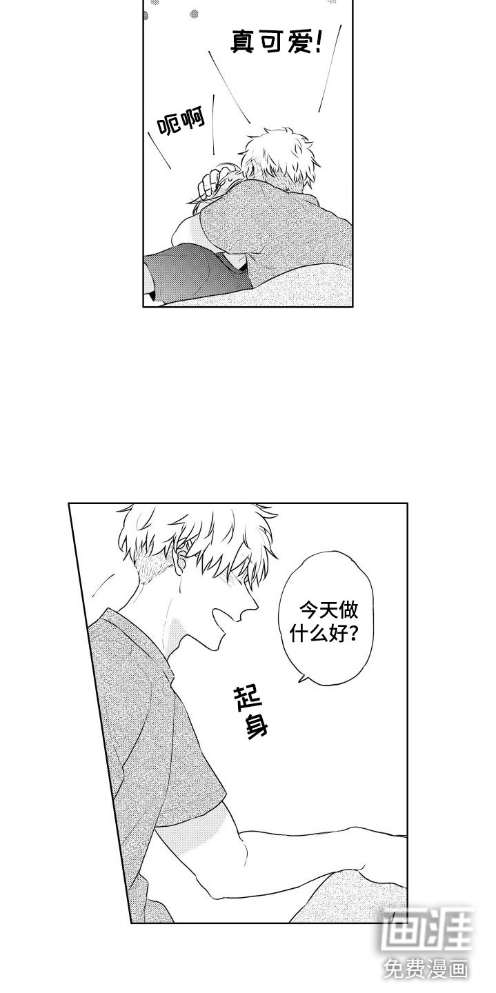 猫的密语第27话图