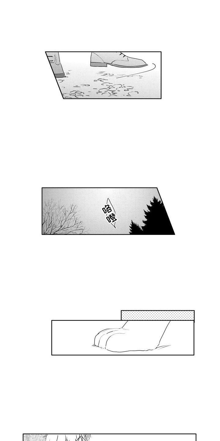 猫的密语第3话图