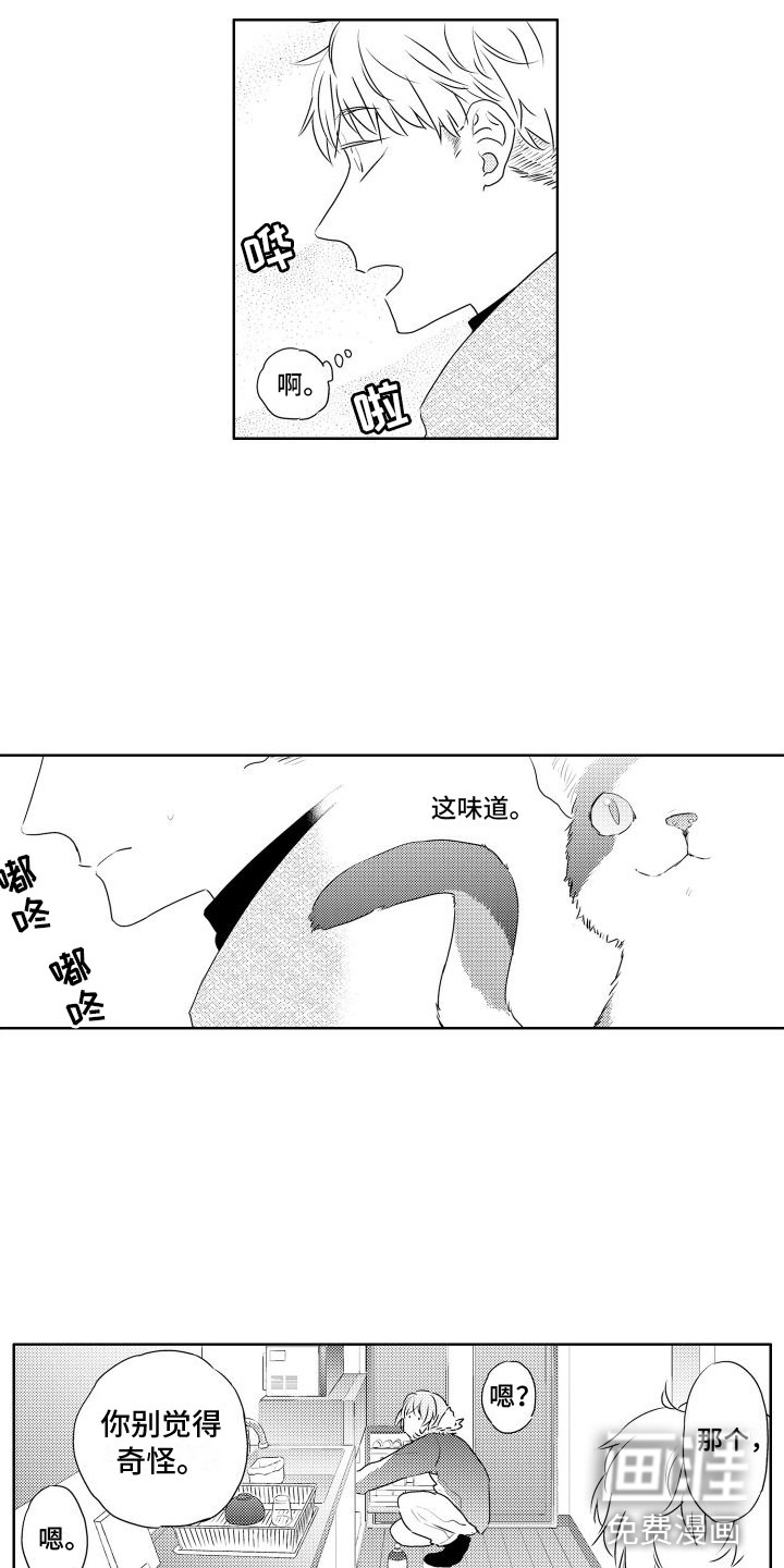 猫的密语第4话图