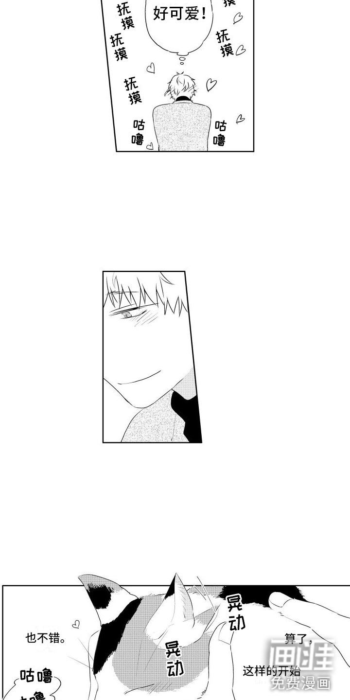 猫的密语第6话图