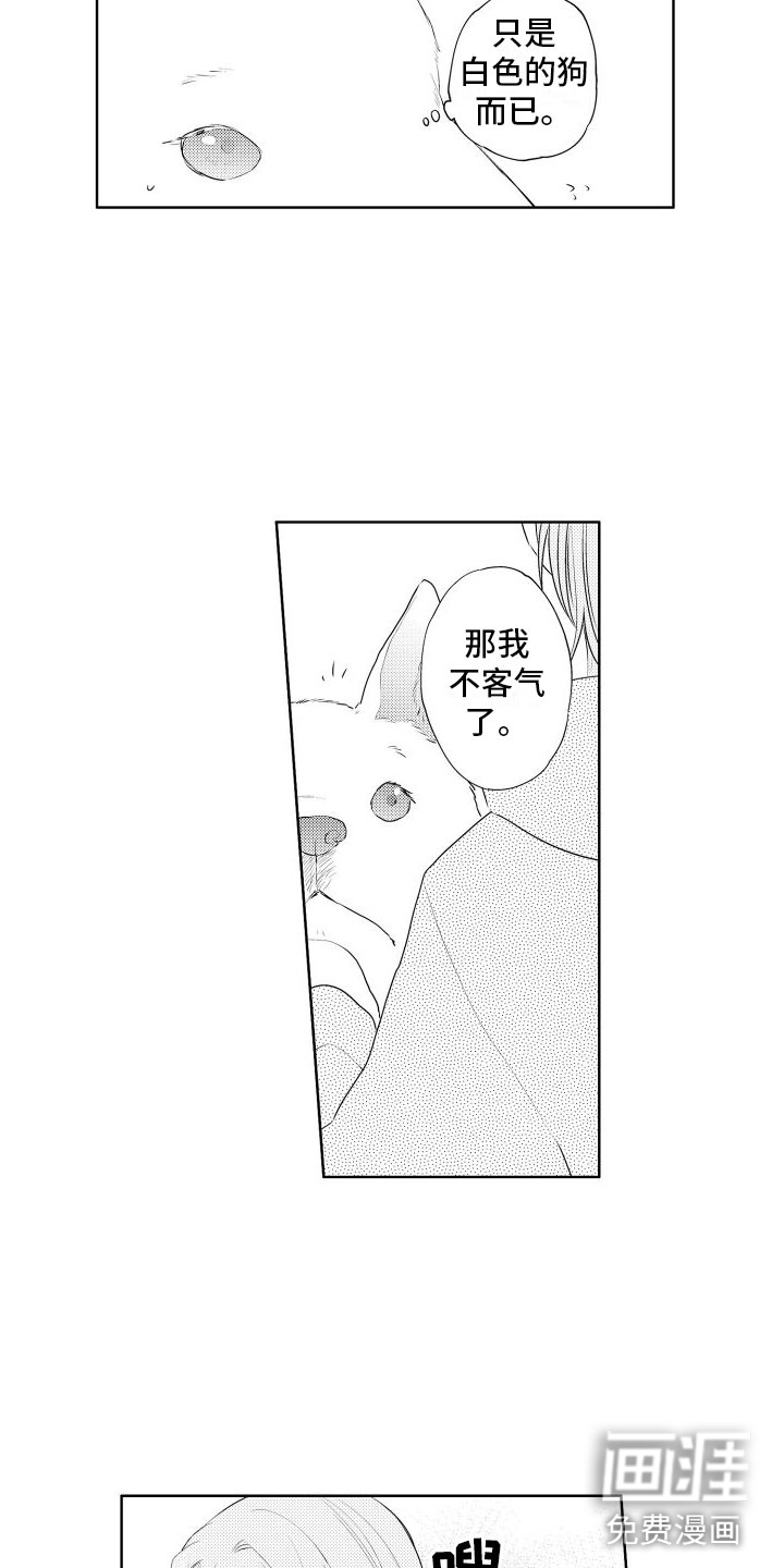 猫的密语第7话图