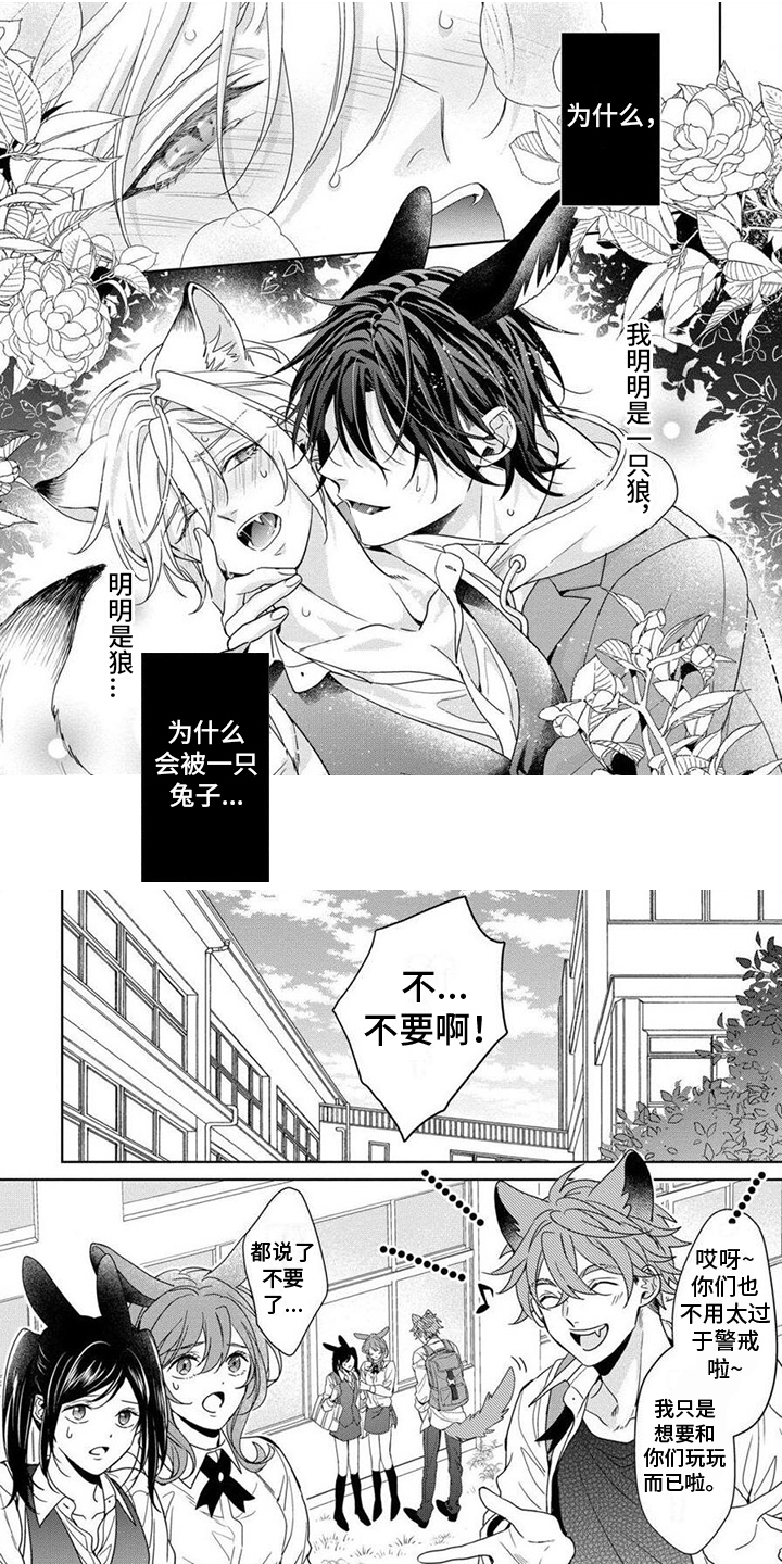 美味的狼先生第1话图