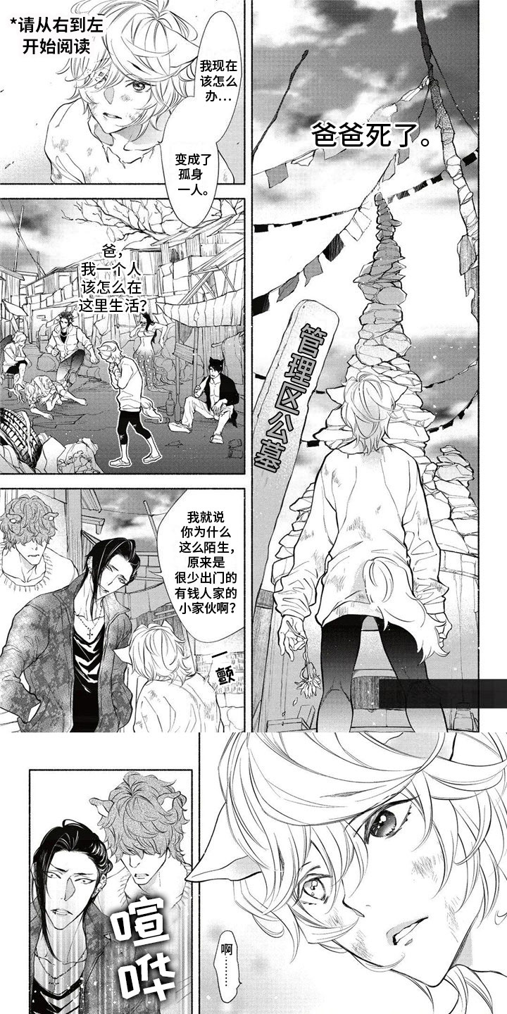 猫猫小白 第1话 第0页