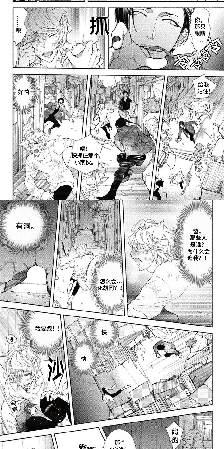 猫猫小白 第1话 第1页