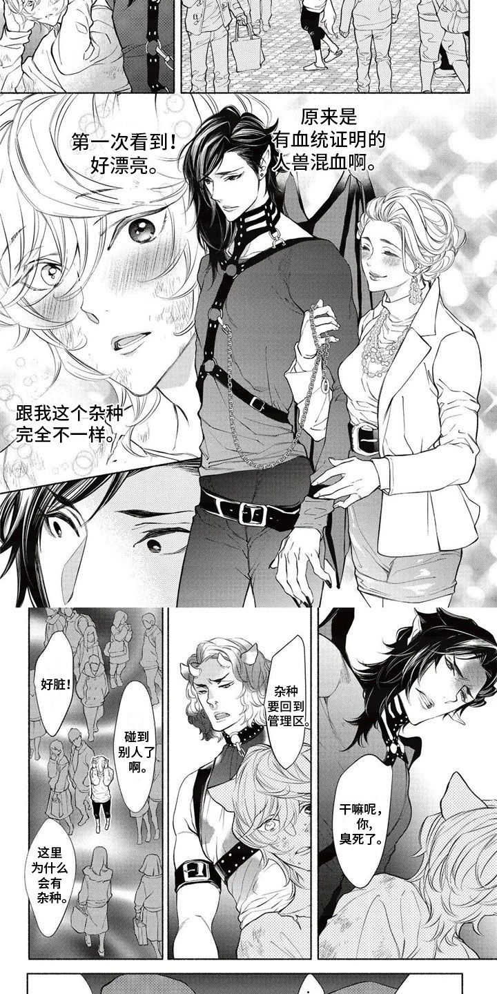 猫猫小白 第1话 第3页