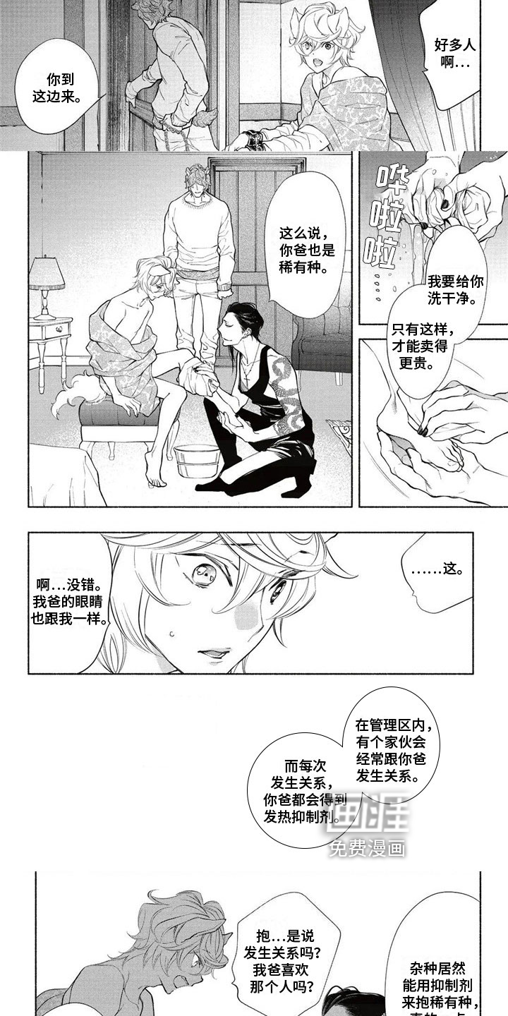 猫猫小白 第10话 第1页