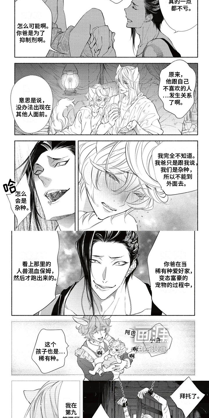 猫猫小白 第10话 第2页