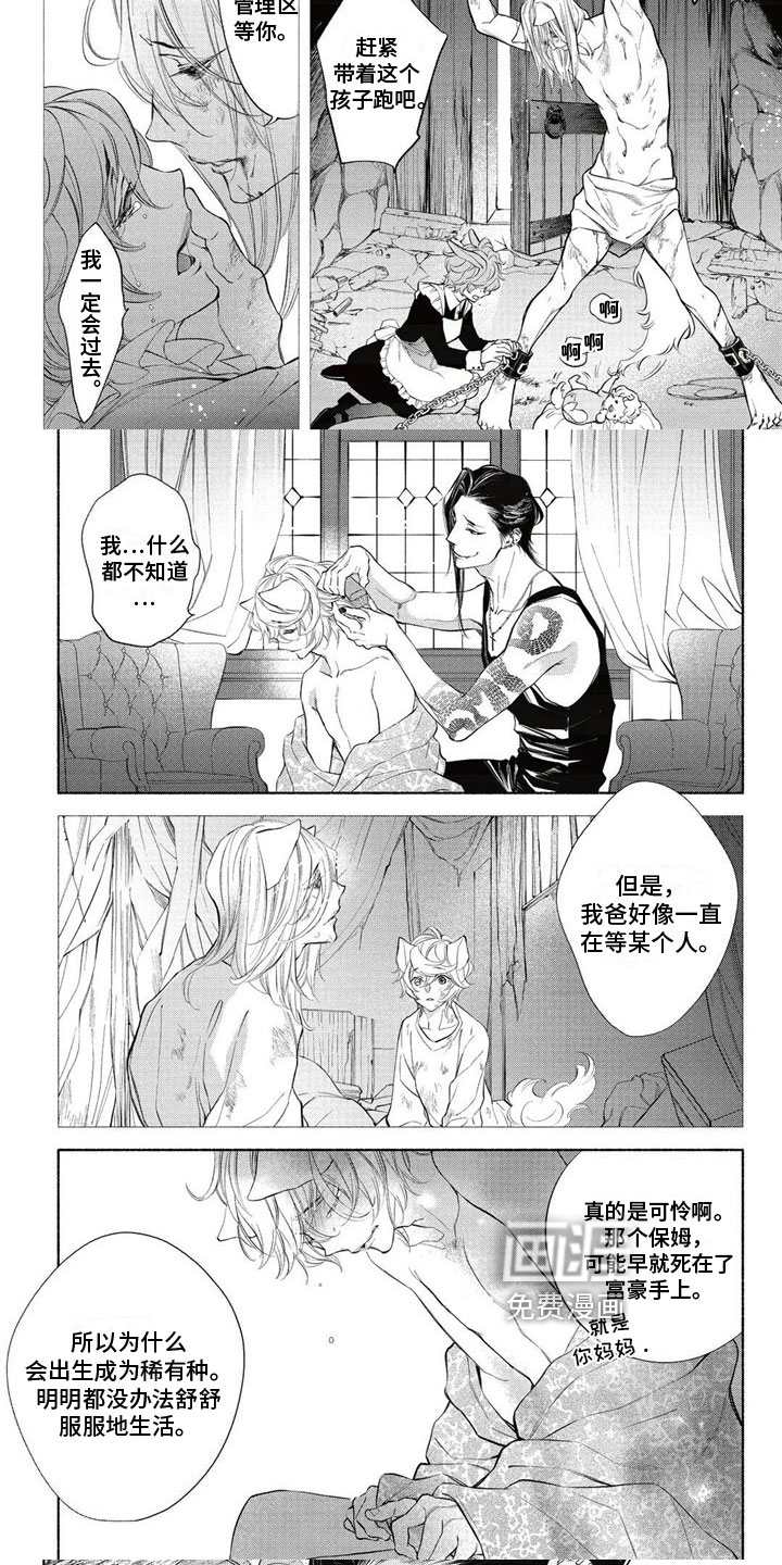 猫猫小白 第10话 第3页