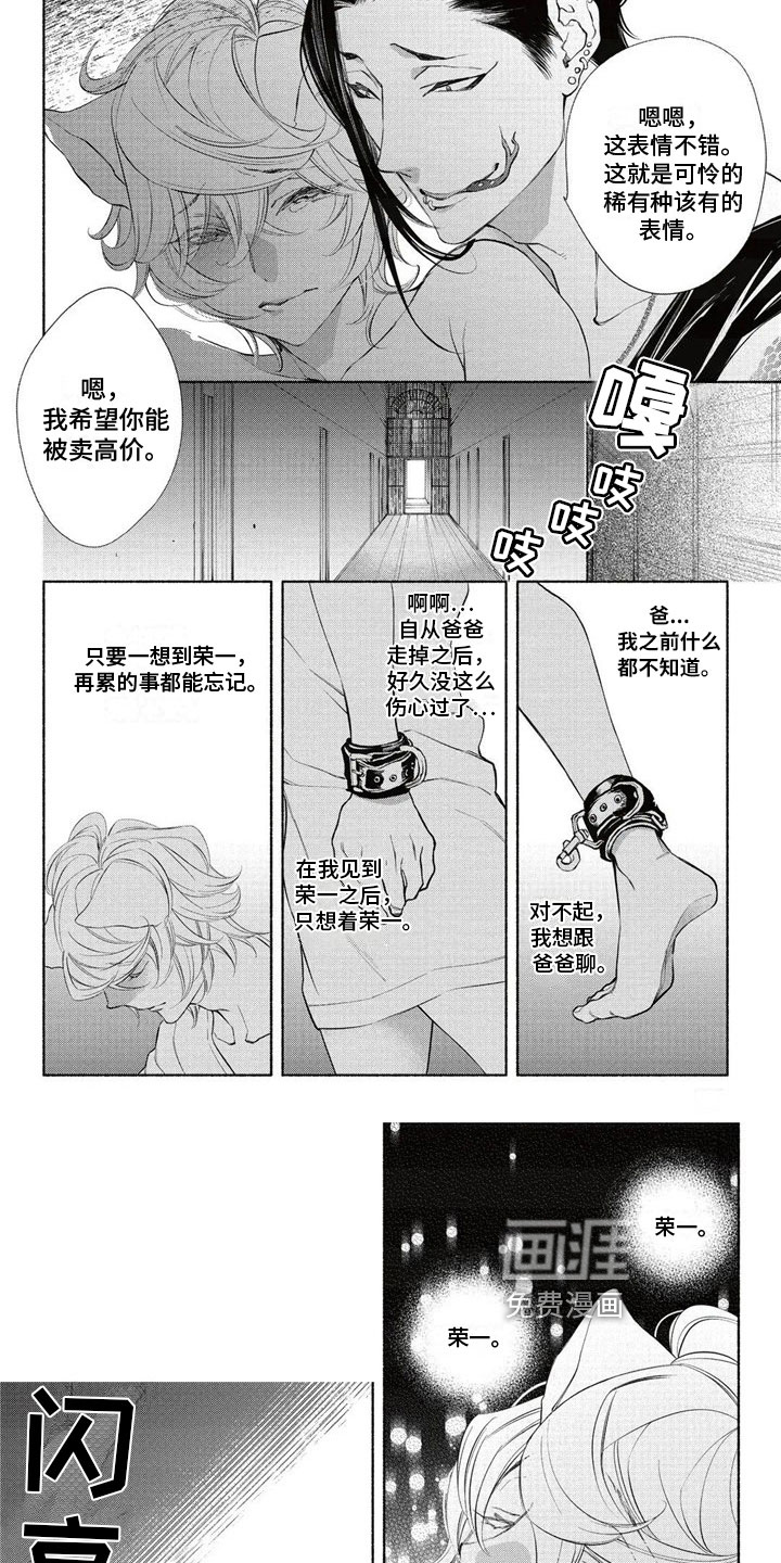 猫猫小白 第10话 第4页