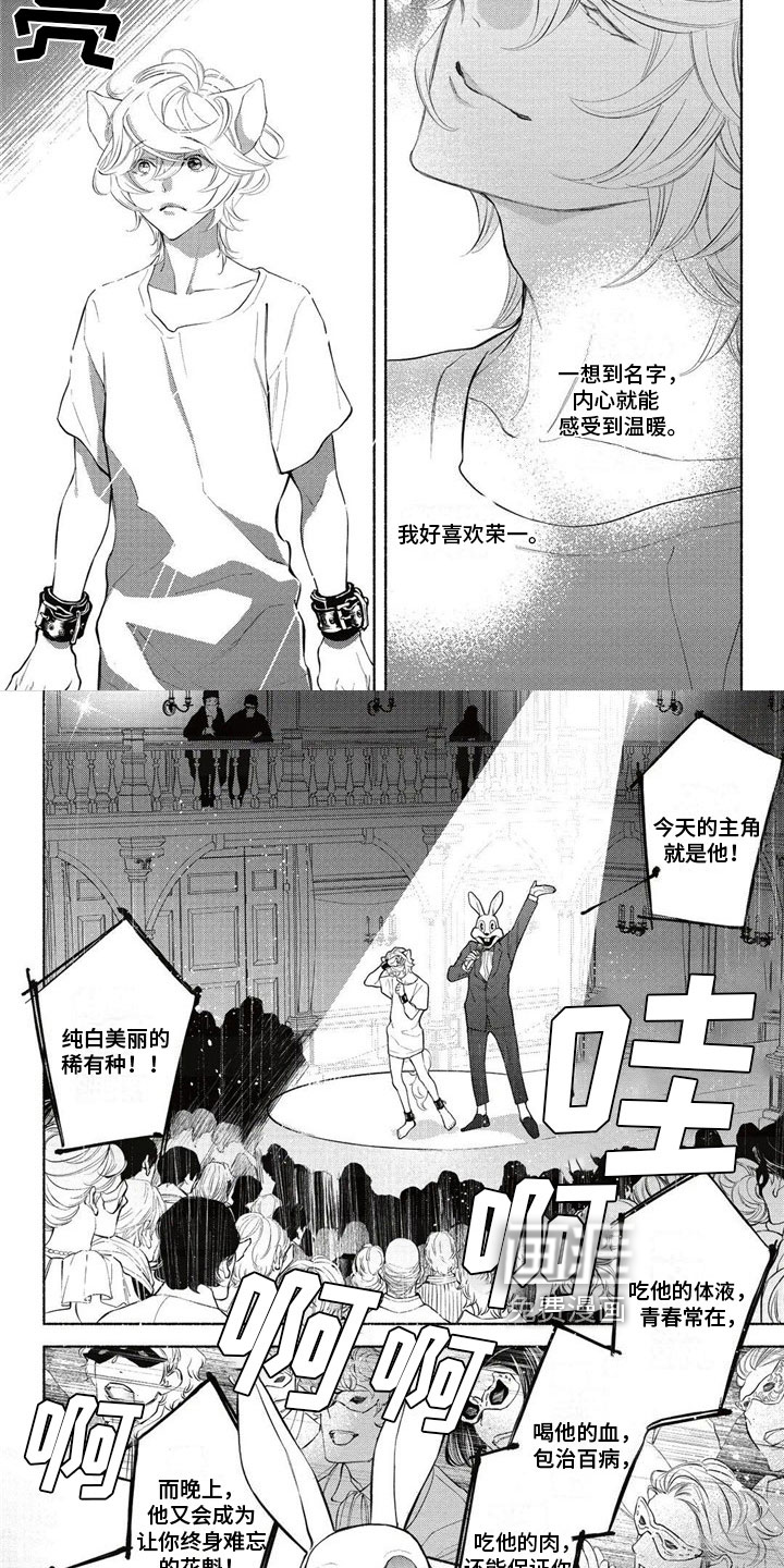 猫猫小白 第10话 第5页