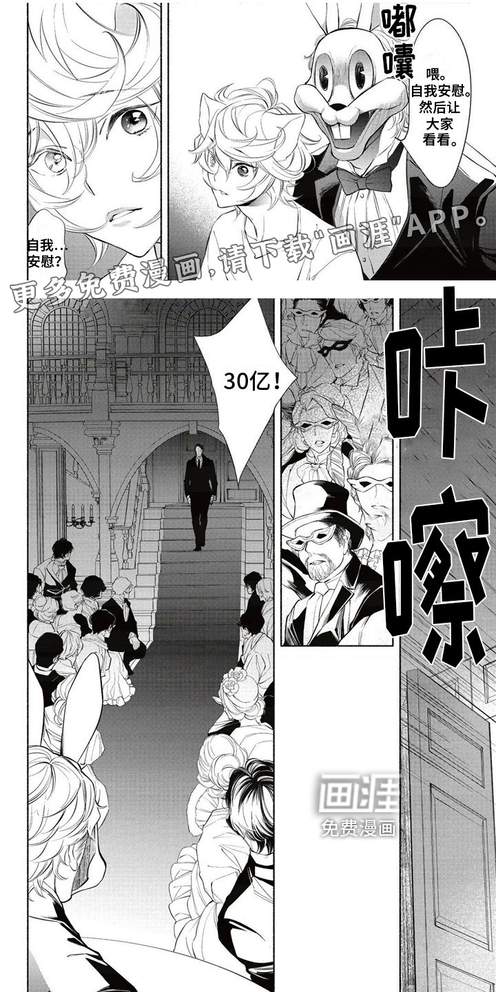 猫猫小白 第11话 第0页