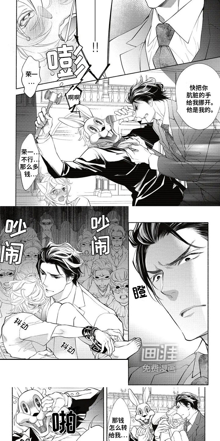 猫猫小白 第11话 第2页