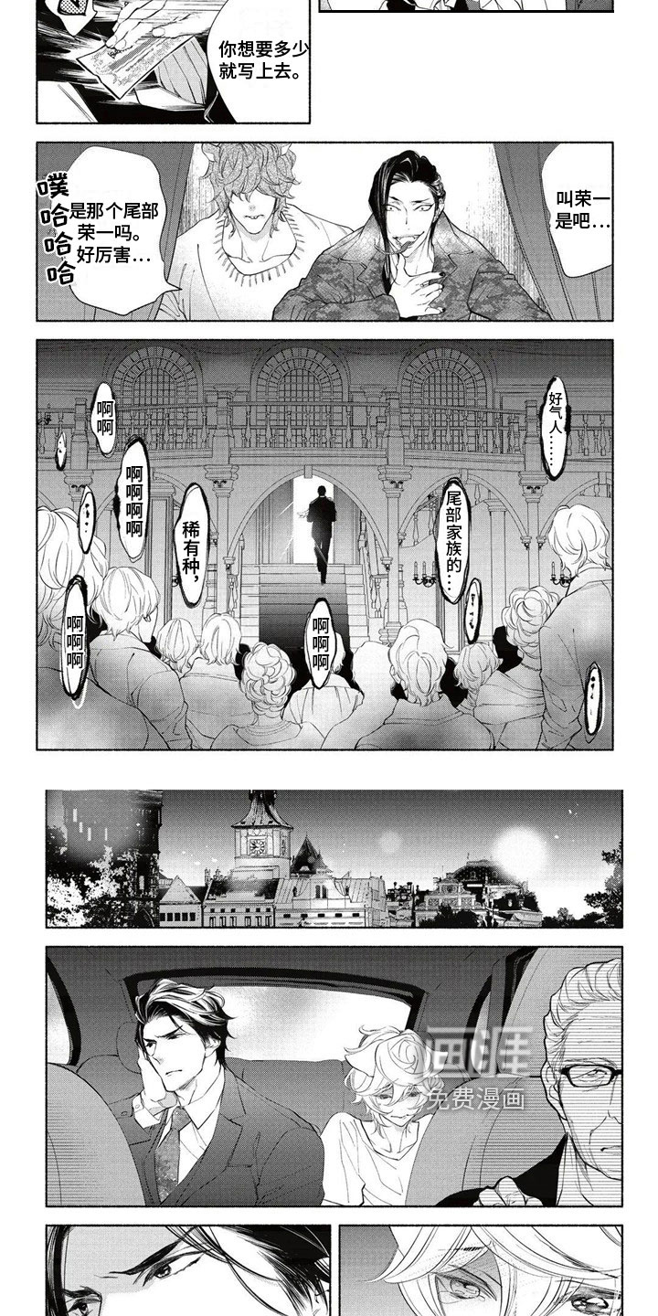 猫猫小白 第11话 第3页