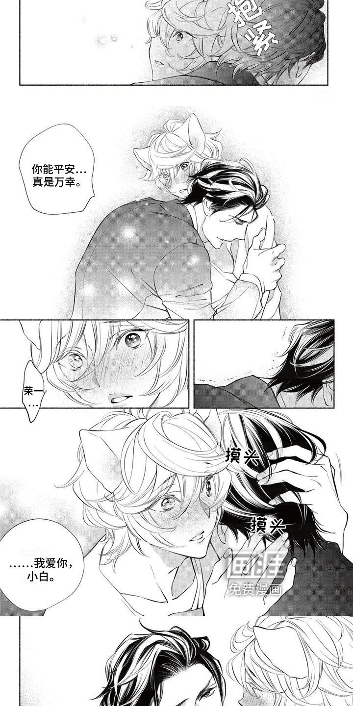 猫猫小白 第12话 第1页