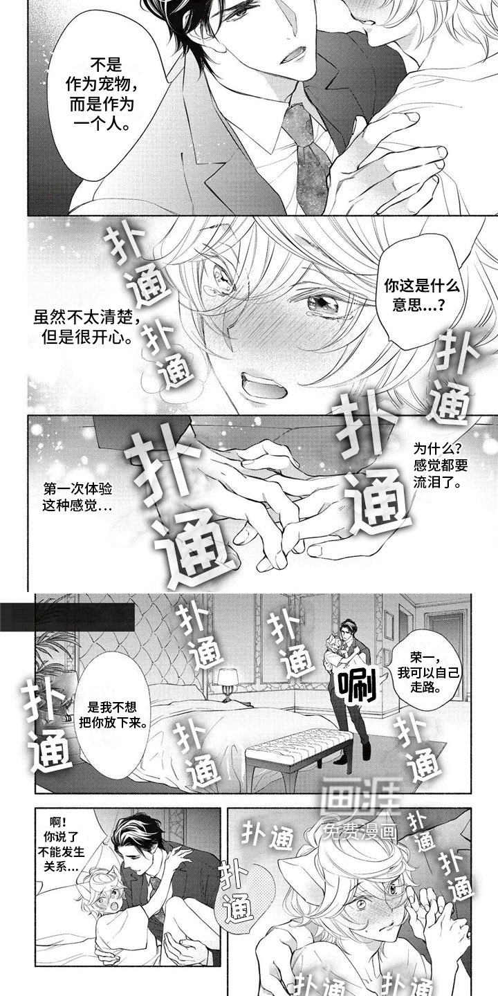 猫猫小白 第12话 第2页