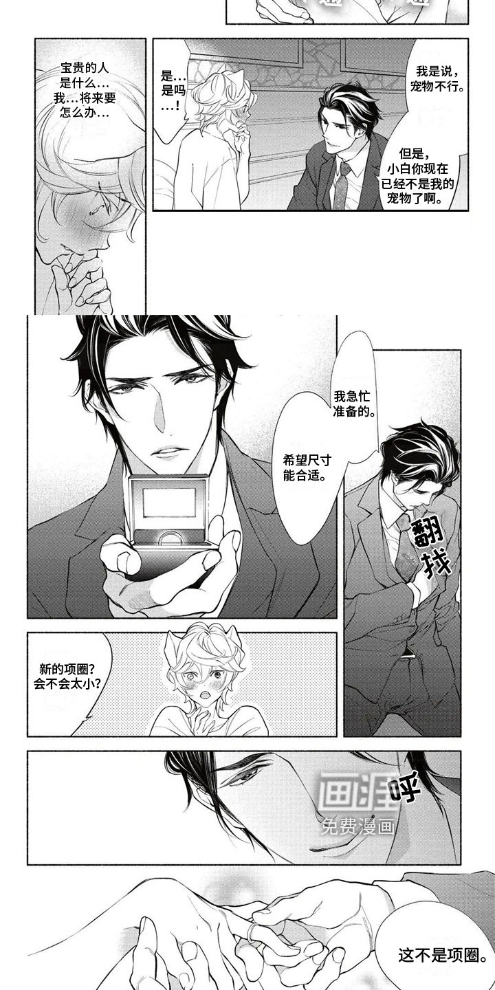 猫猫小白 第12话 第3页