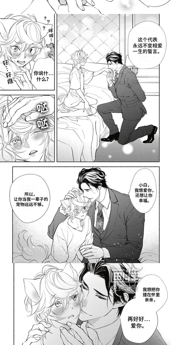 猫猫小白 第12话 第4页