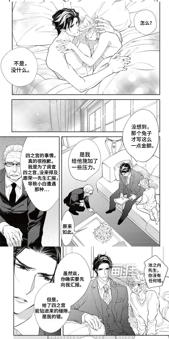 猫猫小白 第12话 第6页