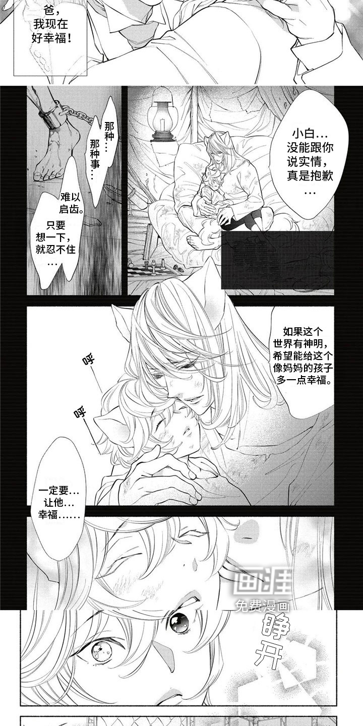 猫猫小白 第13话 第3页