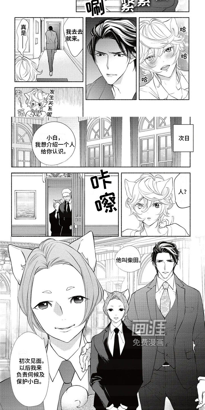 猫猫小白 第13话 第5页