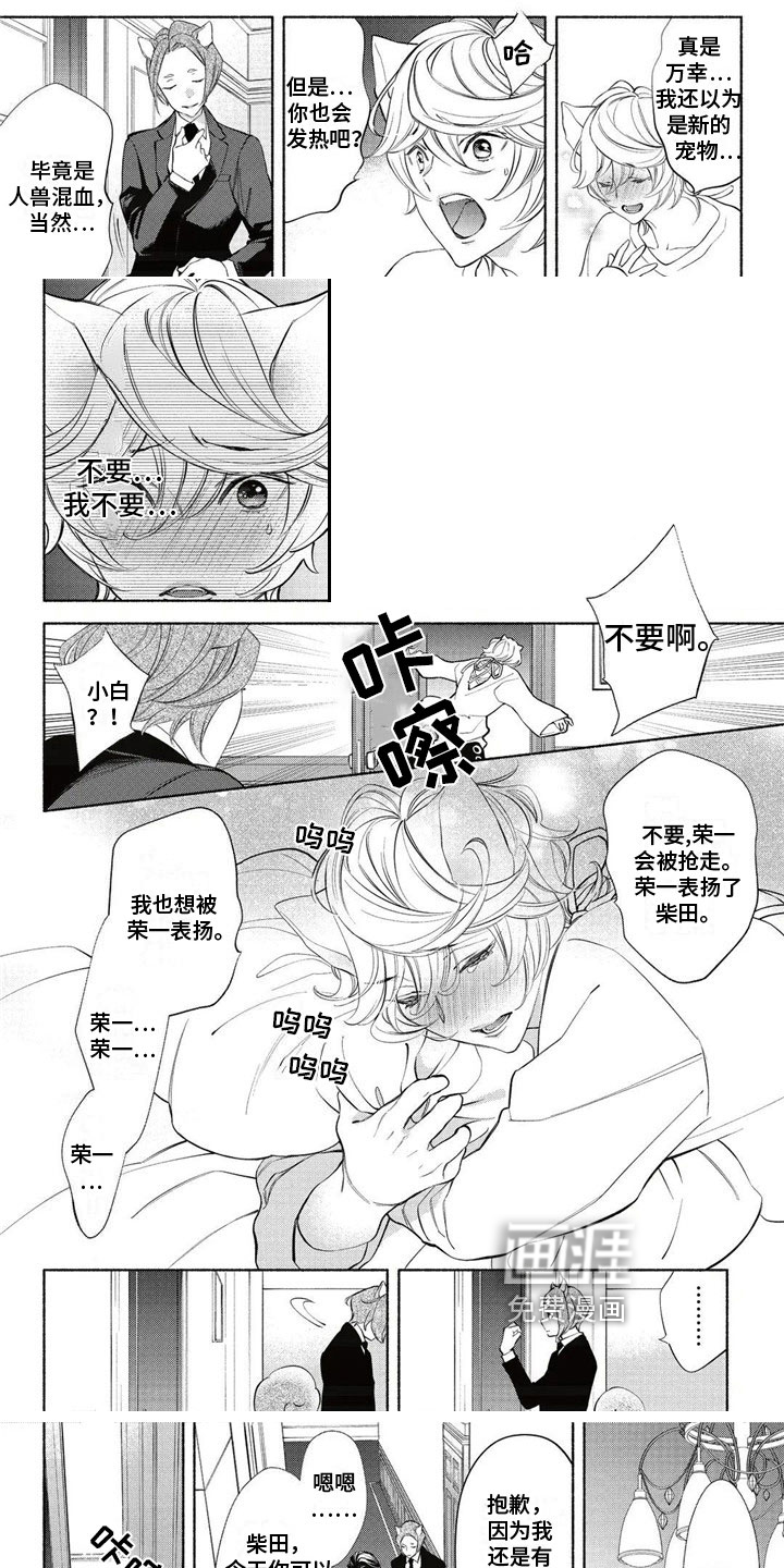 猫猫小白 第14话 第1页