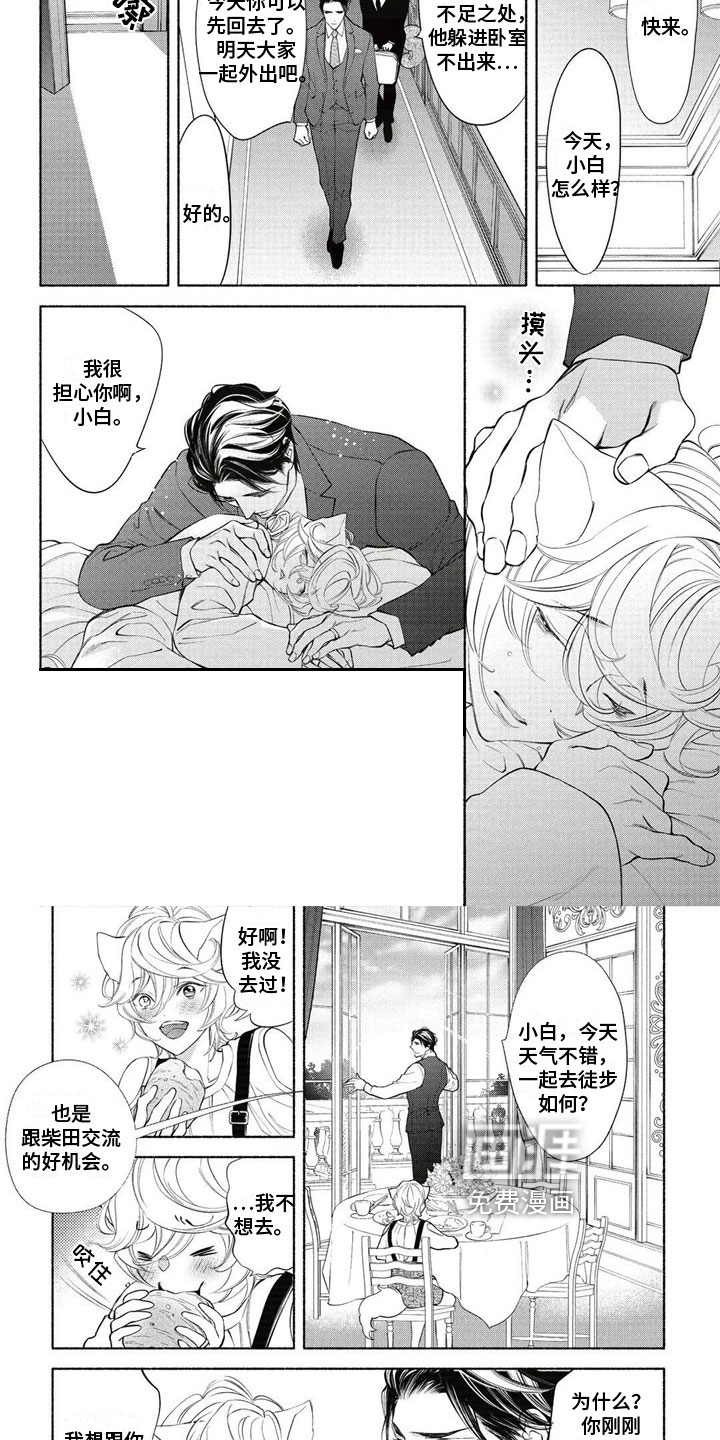 猫猫小白 第14话 第2页