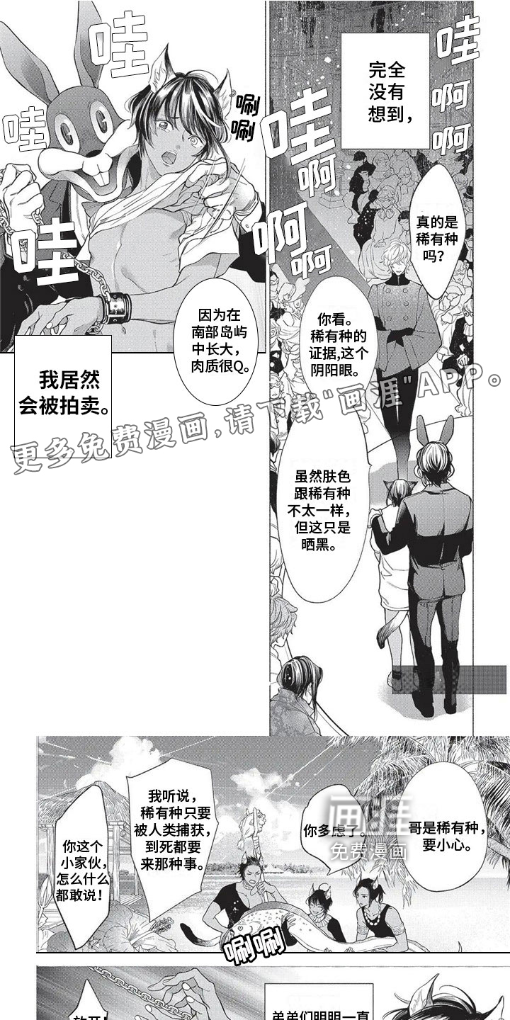 猫猫小白 第16话 第0页