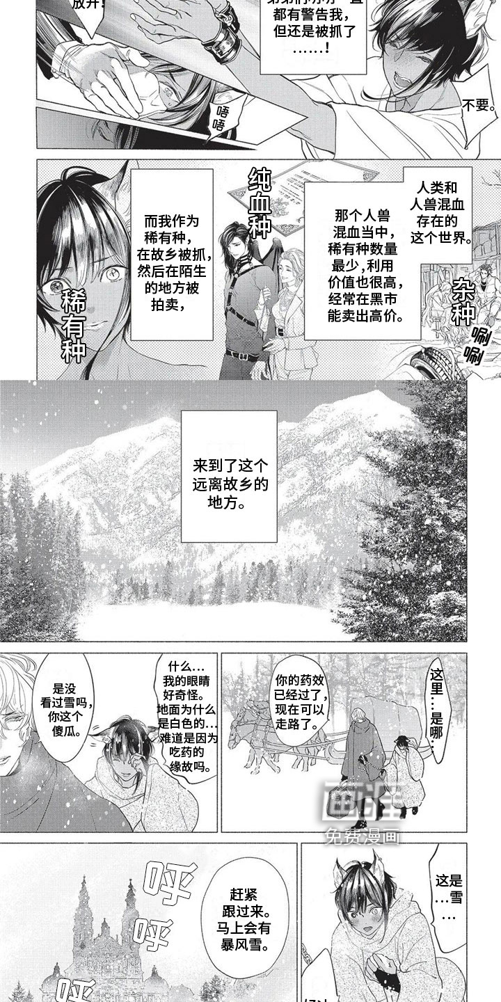 猫猫小白 第16话 第1页