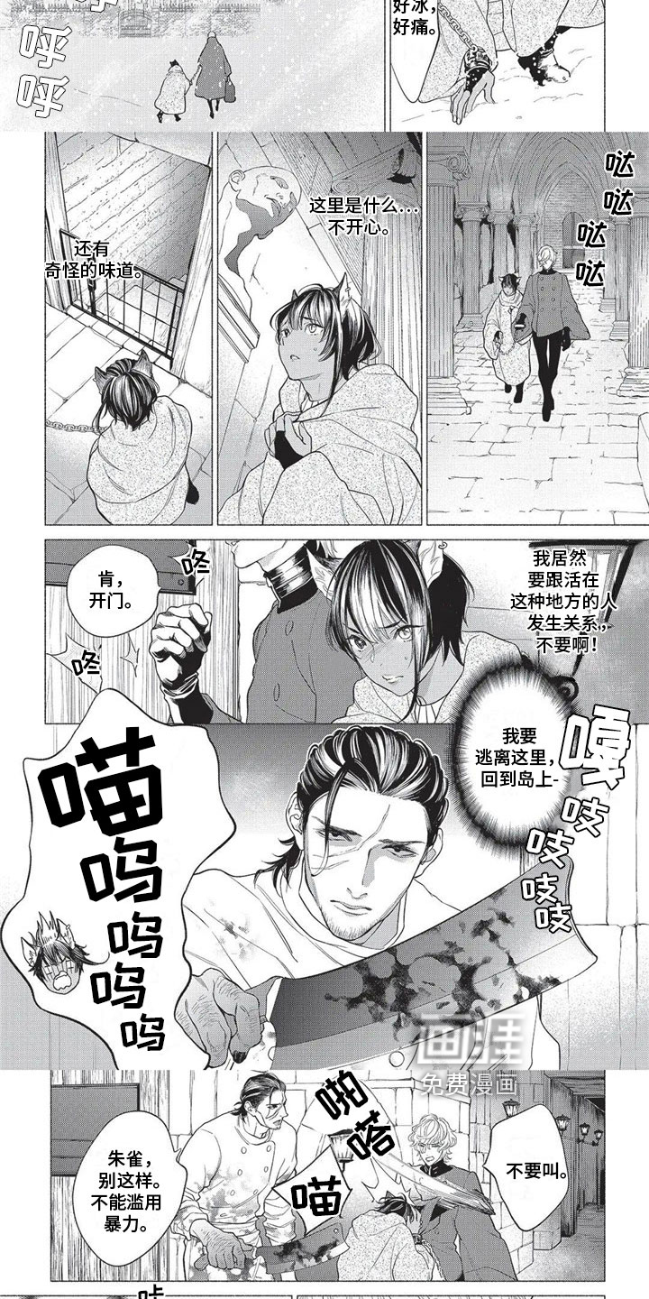 猫猫小白 第16话 第2页