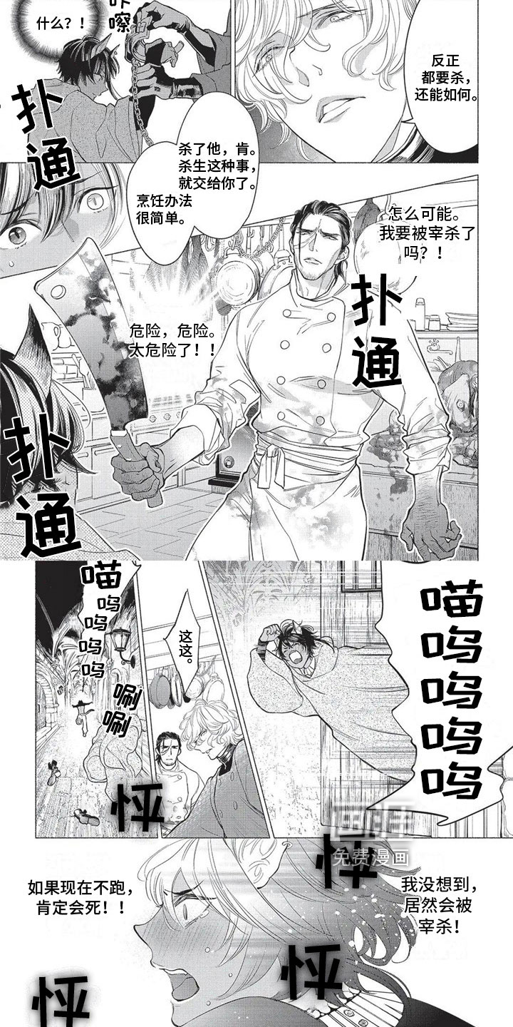 猫猫小白 第16话 第3页