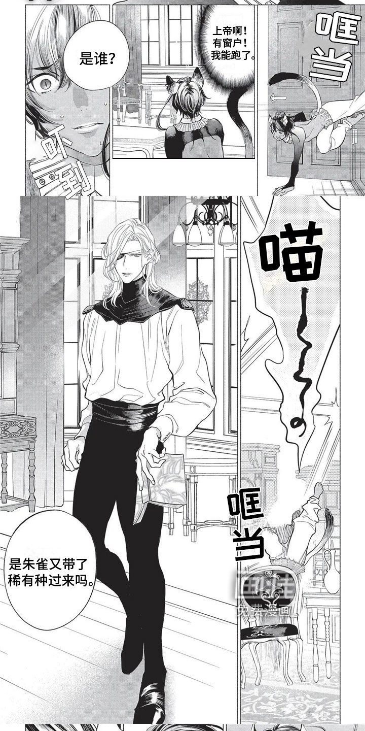 猫猫小白 第16话 第4页