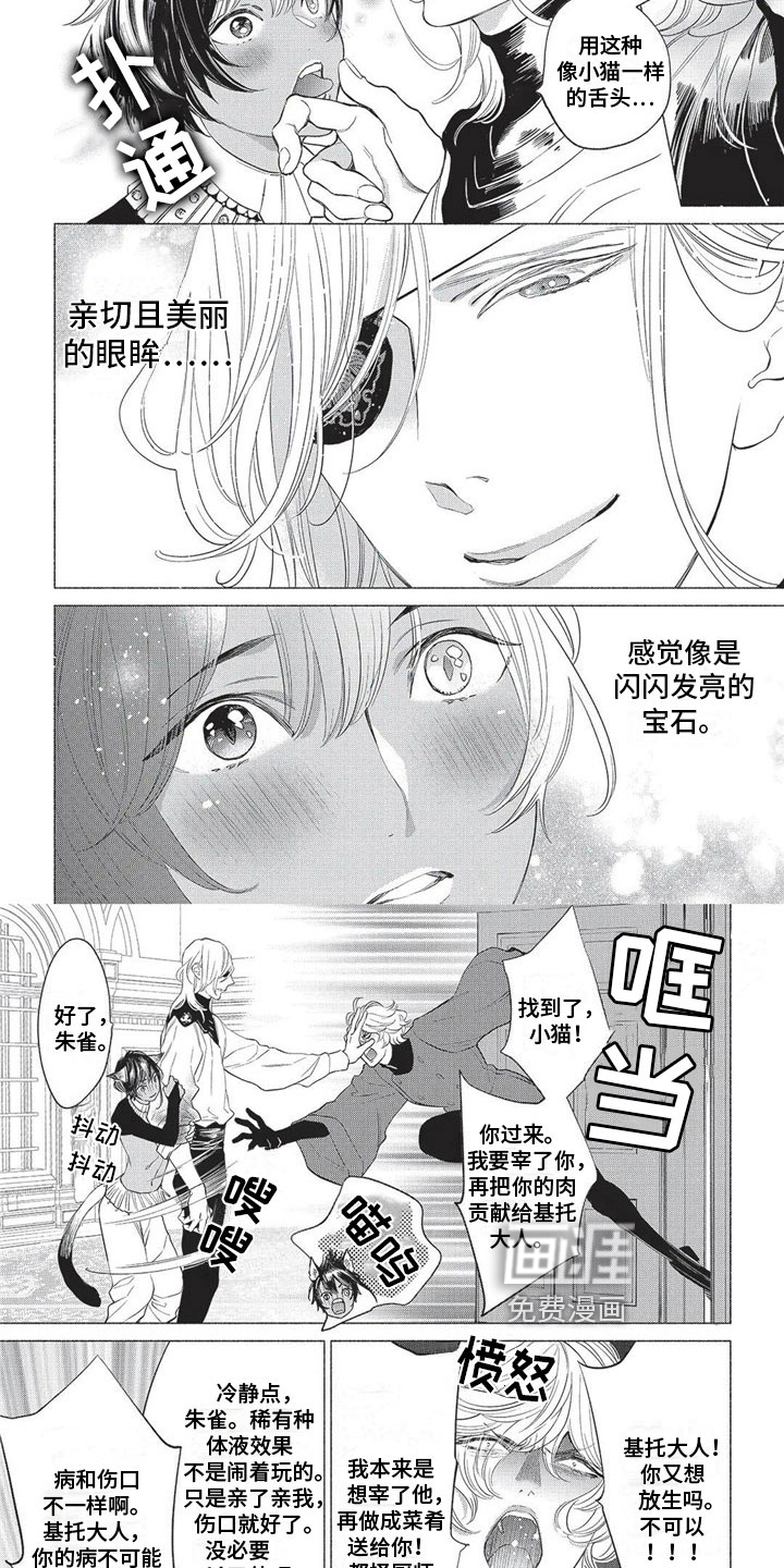 猫猫小白 第17话 第2页