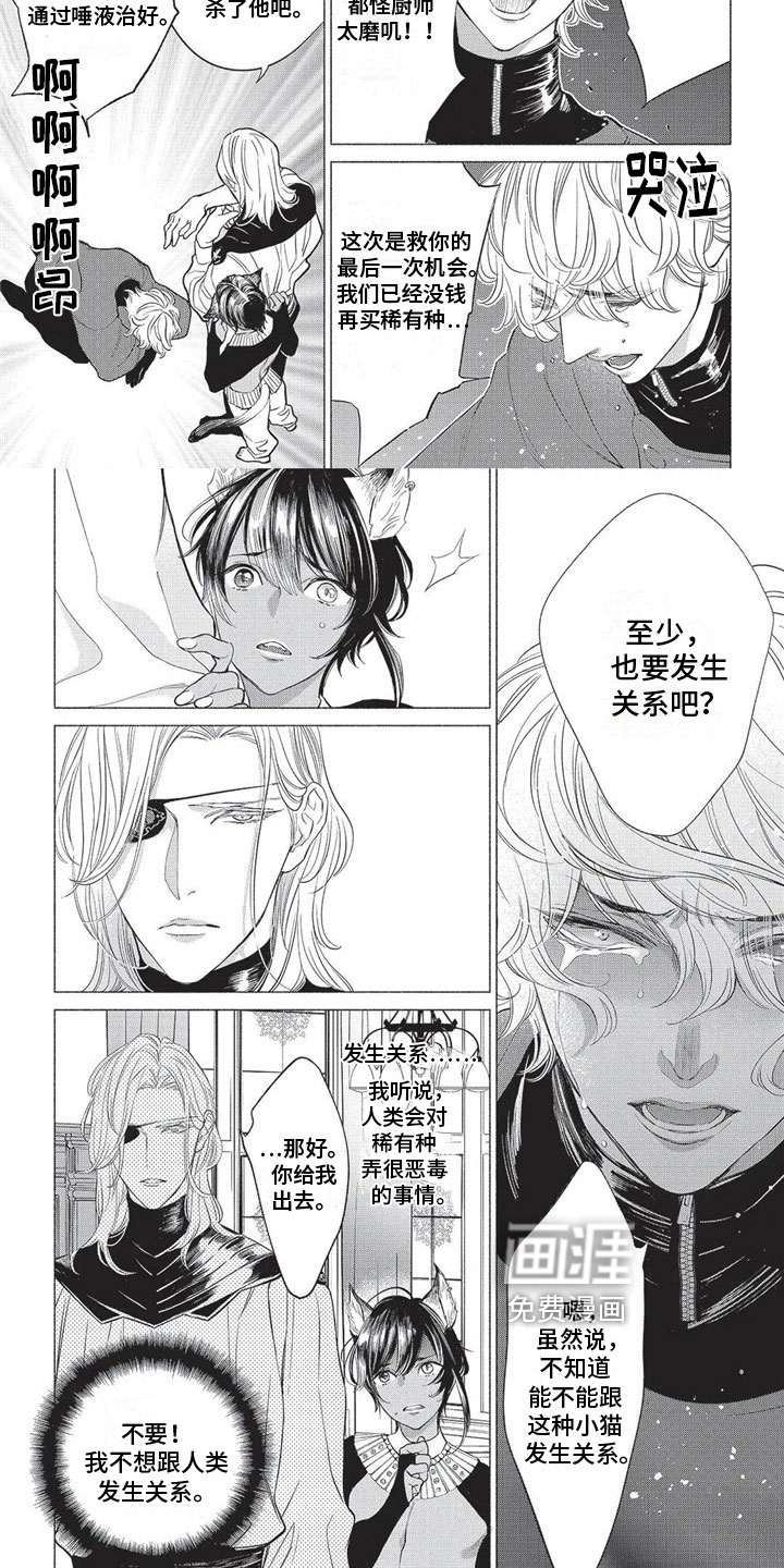 猫猫小白 第17话 第3页
