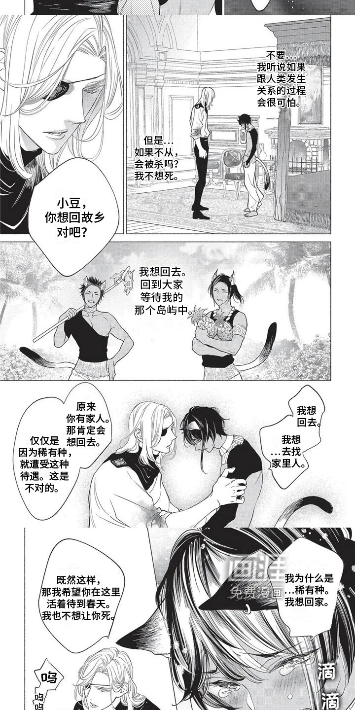 猫猫小白 第17话 第4页