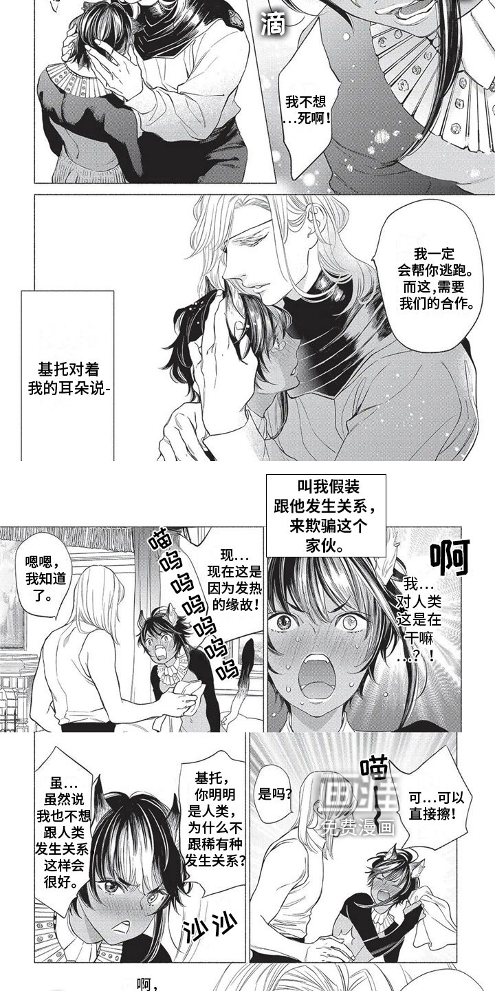 猫猫小白 第17话 第5页