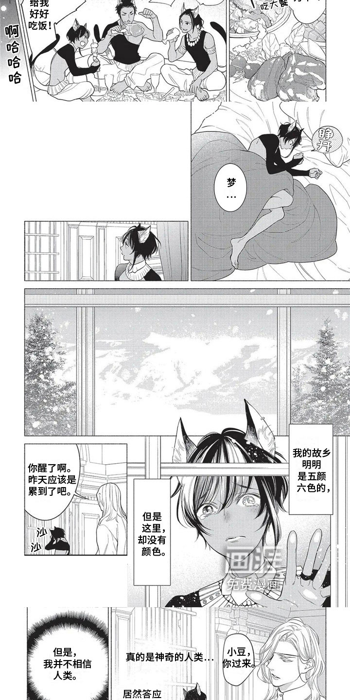 猫猫小白 第17话 第7页