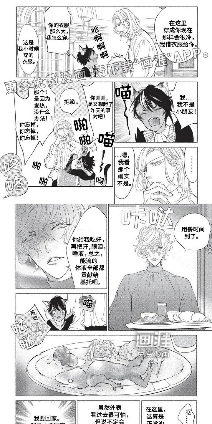 猫猫小白 第18话 第0页