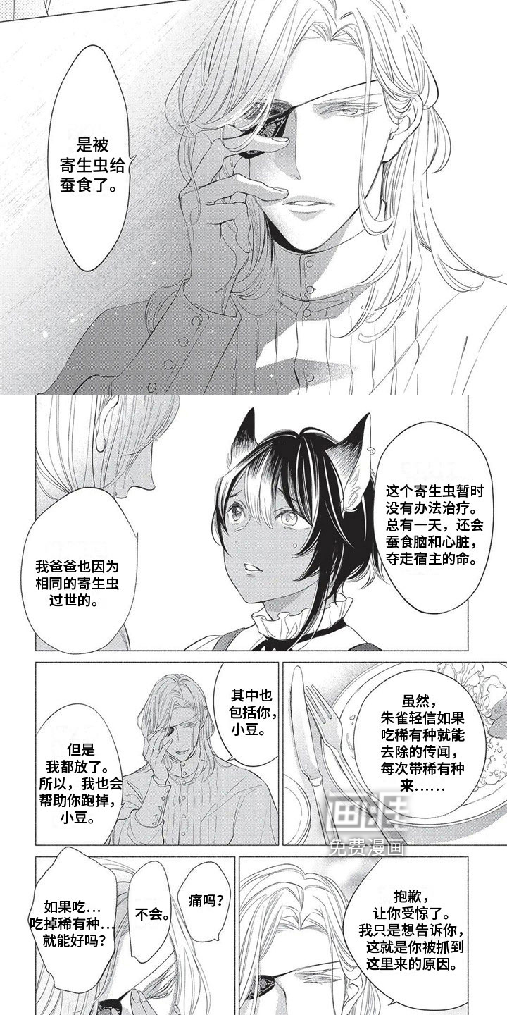 猫猫小白 第18话 第3页