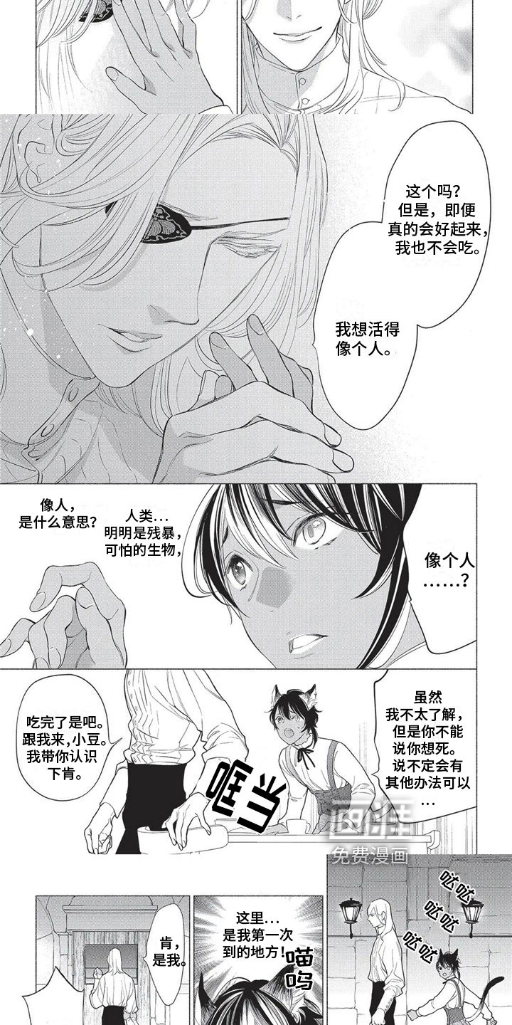 猫猫小白 第18话 第4页