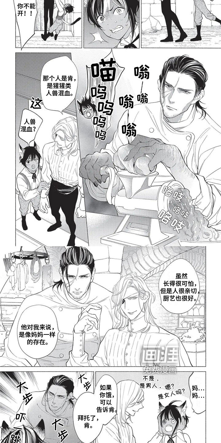 猫猫小白 第18话 第5页