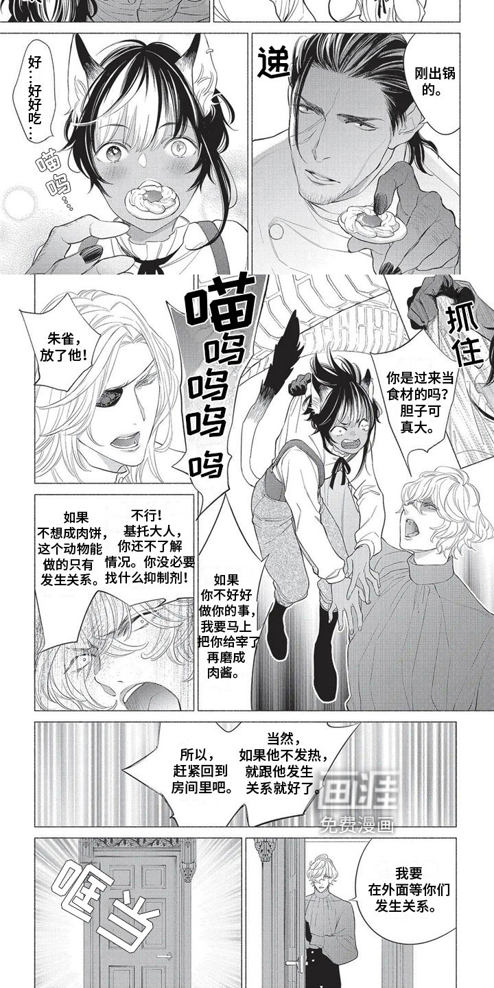 猫猫小白 第18话 第6页