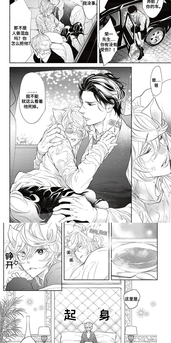 猫猫小白 第2话 第2页