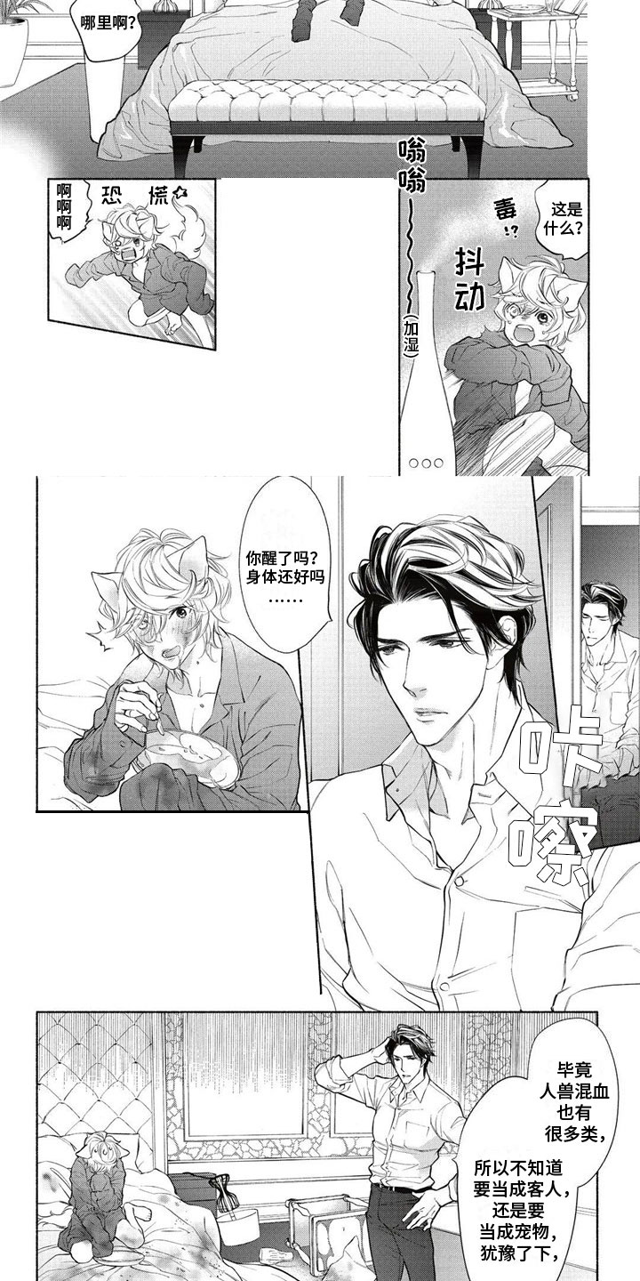 猫猫小白 第2话 第3页