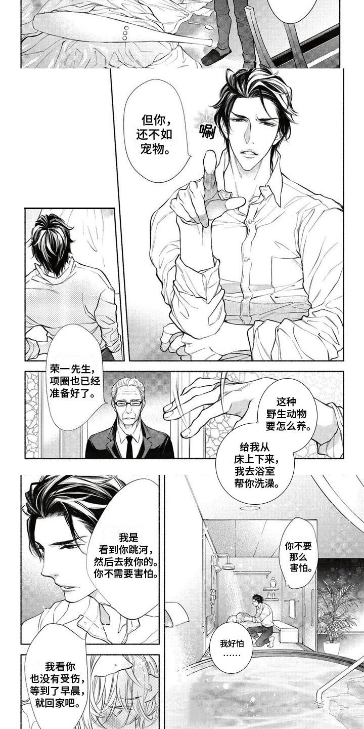 猫猫小白 第2话 第4页