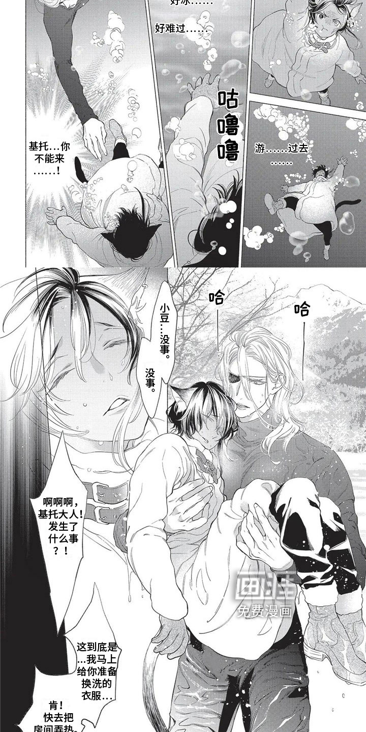 猫猫小白 第20话 第3页