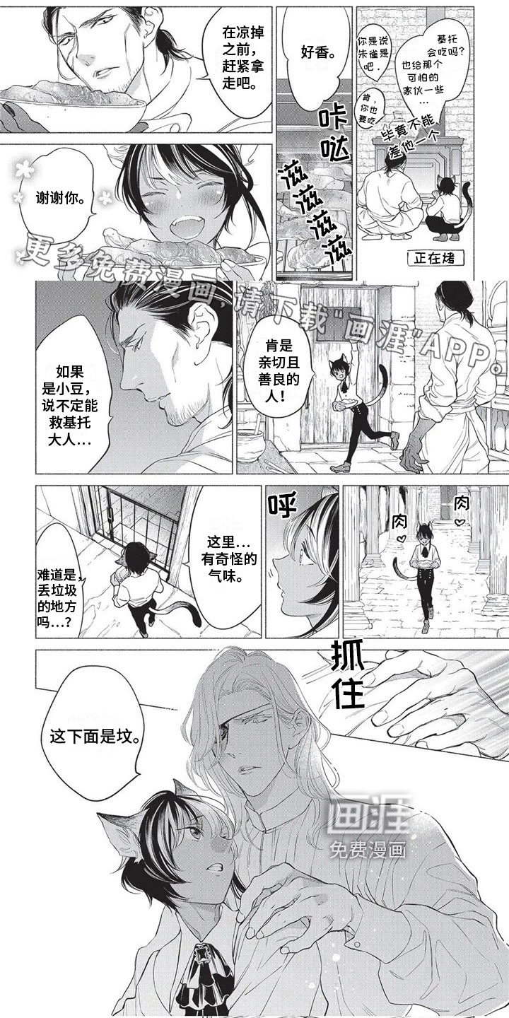 猫猫小白 第22话 第0页